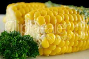 Fresh Corn 6