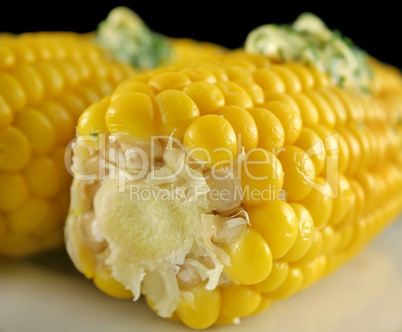 Fresh Corn 7