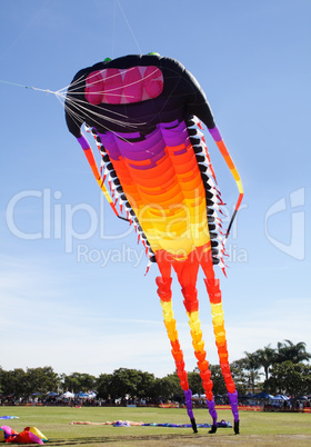 Giant Kite