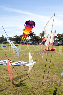 Giant Kite