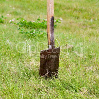 Spade into the lawn