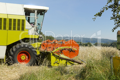 Mähdrescher im Weizenfeld - Combine harvester in a field of wheat