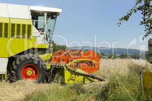 Mähdrescher im Weizenfeld - Combine harvester in a field of wheat