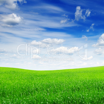 field and sky