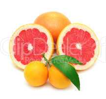 mandarine and grapefruit