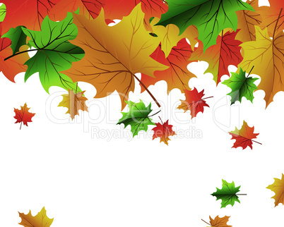 Autumn background