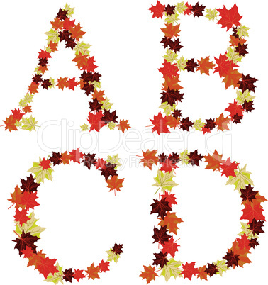Autumn maples leaves letter