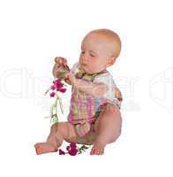 Pretty young baby playing with flowers