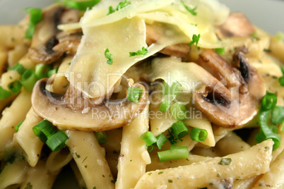 Mushroom Pasta 2