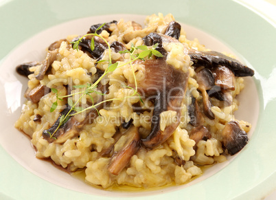 Mushroom Risotto