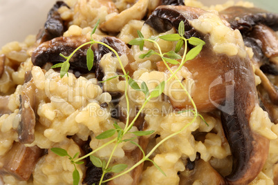 Mushroom Risotto