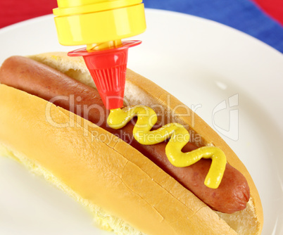 Mustard On Hot Dog