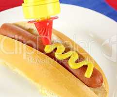 Mustard On Hot Dog