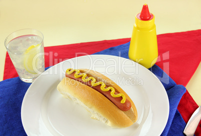 Hot Dog With Mustard