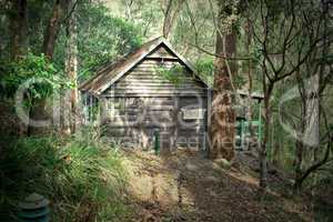 Old Log Cabin 1
