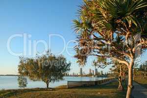 Southport Through Pandanus At Dawn