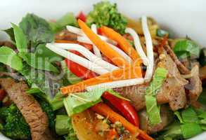 Stirfry Beef And Vegetables 2