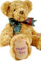Thank You Teddy 2