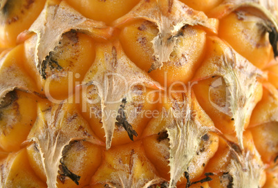 Pineapple Skin Background 2