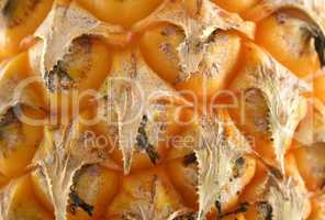 Pineapple Skin Background 2