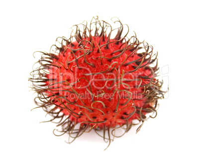 Rambutan