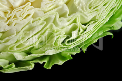 Cabbage Background
