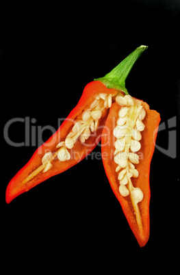 Chili Pepper 1
