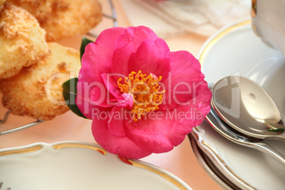 Camellia With Food