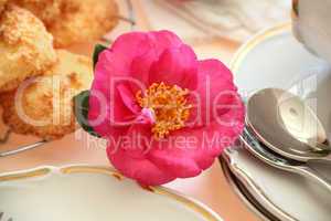 Camellia With Food