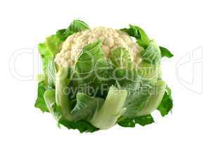 Fresh Cauliflower 1