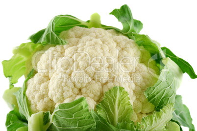 Fresh Cauliflower 4