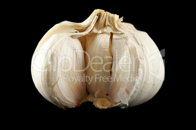 Fresh Garlic 1
