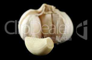 Fresh Garlic 2