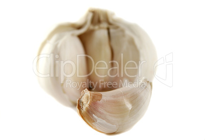 Fresh Garlic 3
