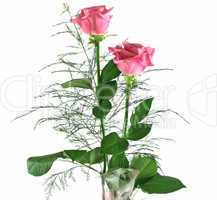 Gift Roses 4
