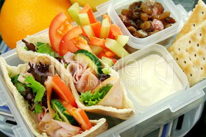 Healthy Kids Lunchbox