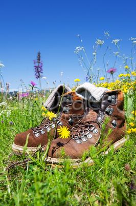 hiking boots meadow