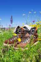 hiking boots meadow