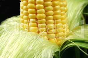 Kernels On An Ear Of Corn