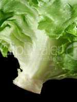 Lettuce 2