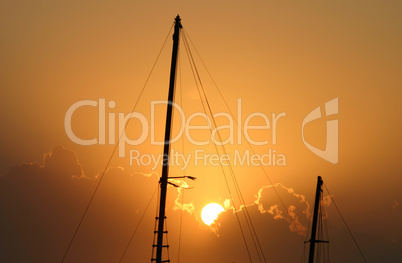 Masts In The Sun 3