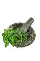 Mortar And Pestle with Fresh Herbs