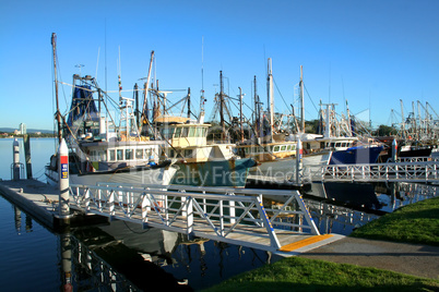 Shrimp and Fishing fleet at dock