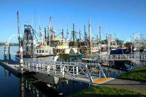 Shrimp and Fishing fleet at dock