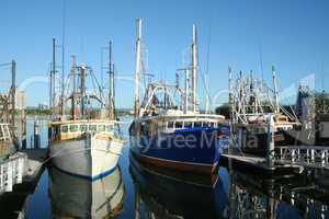 Fishing Boats At Dock