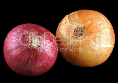 Red And White Onions