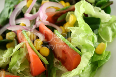 Salad Background 3