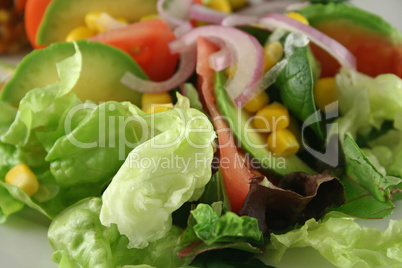 Salad Background 4