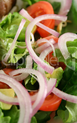 Salad Background 5