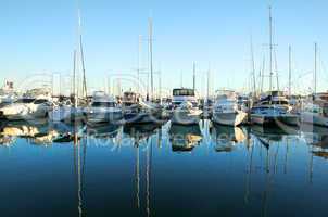 Marina Boats At Daybreak